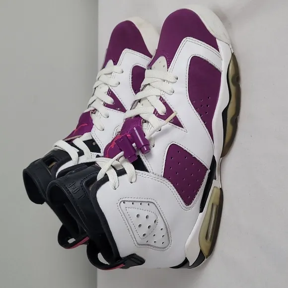 Air Jordan retro 6 grapes athletic shoes