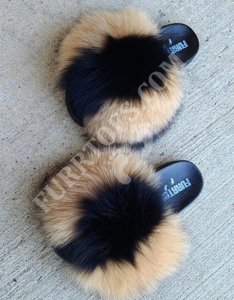 BROWN AND BLACK FOXY