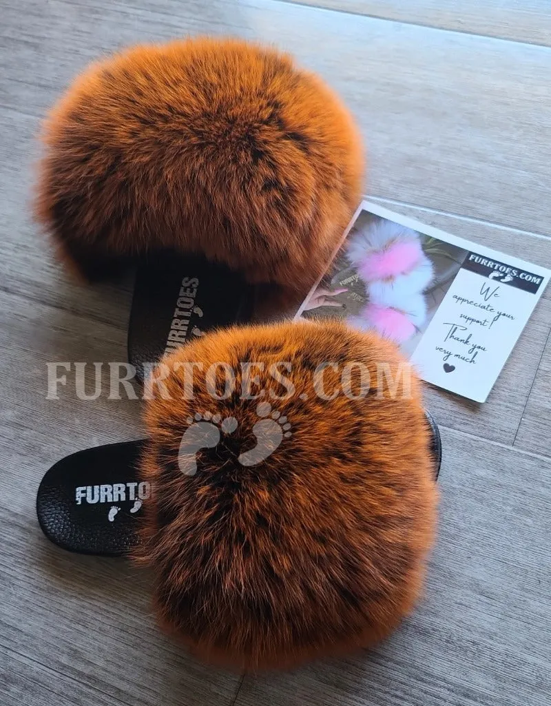 Burnt Orange Frost