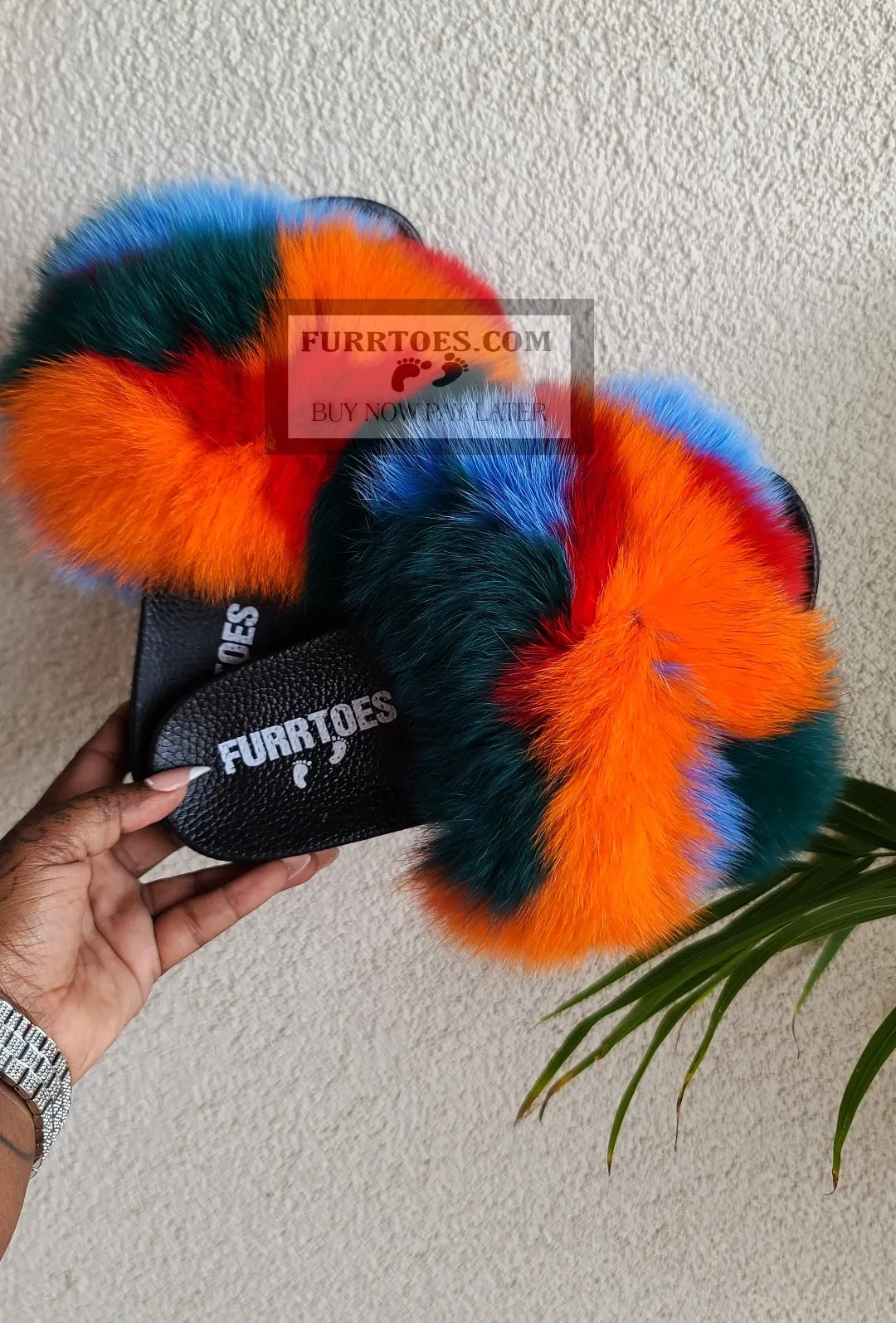 C-QUEENA FOXY