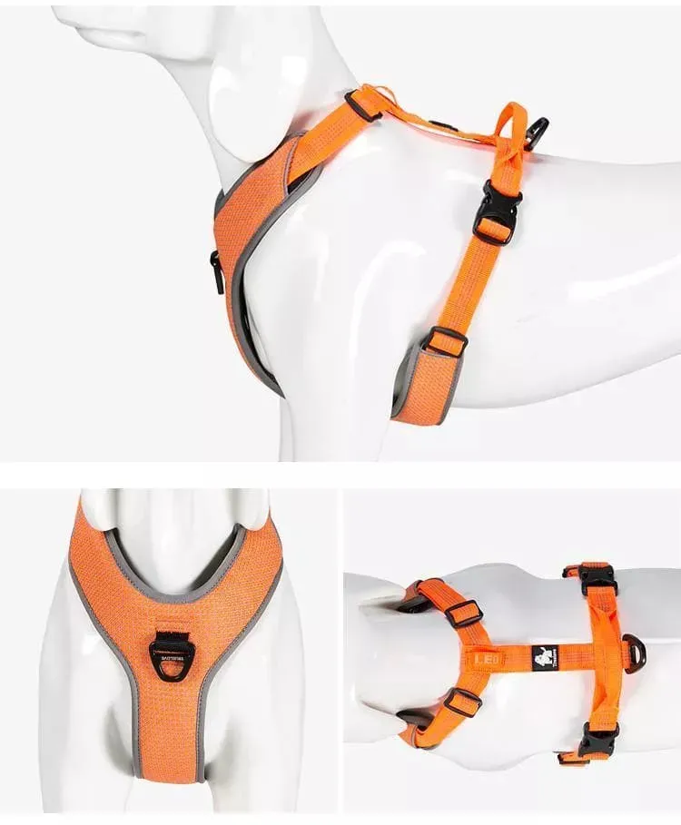 Front Attachment Harness | No Pull