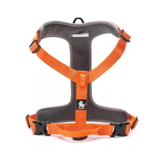 Front Attachment Harness | No Pull