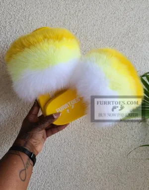 Gold Dust Fluffy