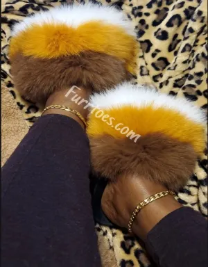 HONEY DEW  FOXY