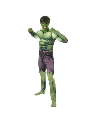 Hulk Avengers Assemble Costume, Adult