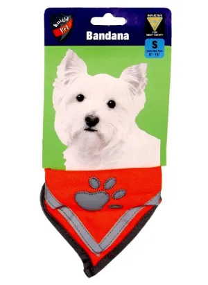 Small Reflective Orange Bandana