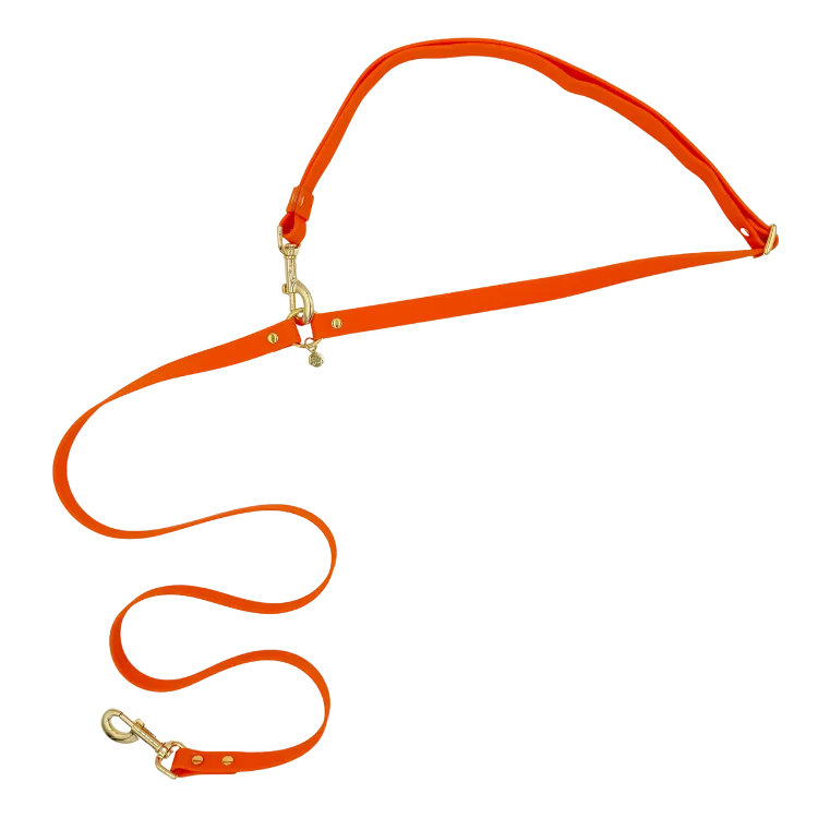 Sunburst - Splashproof Handsfree Dog Leash
