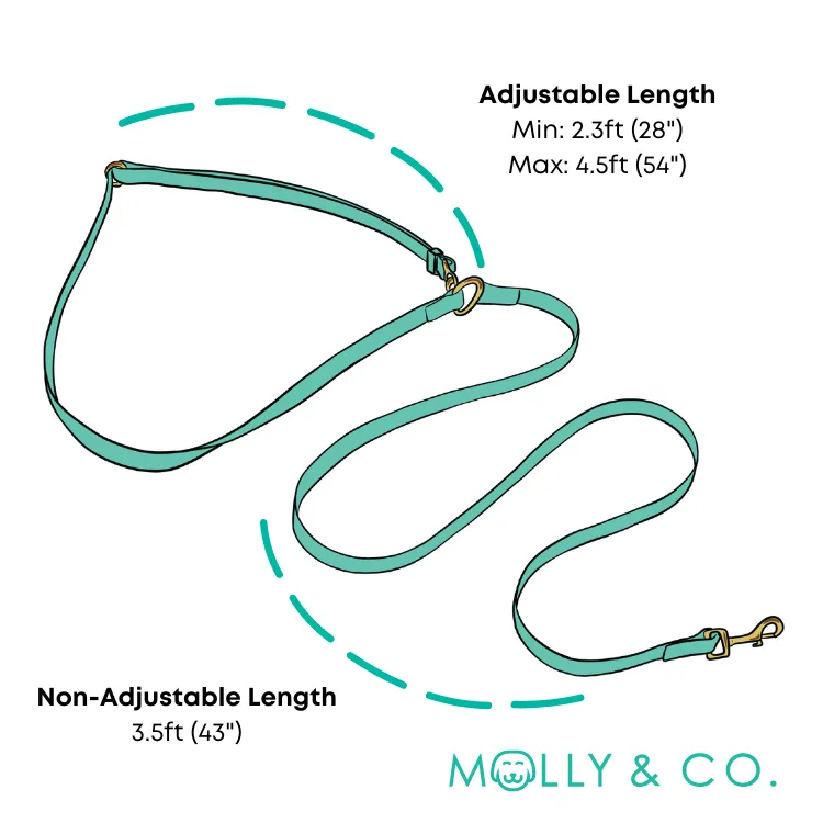 Sunburst - Splashproof Handsfree Dog Leash
