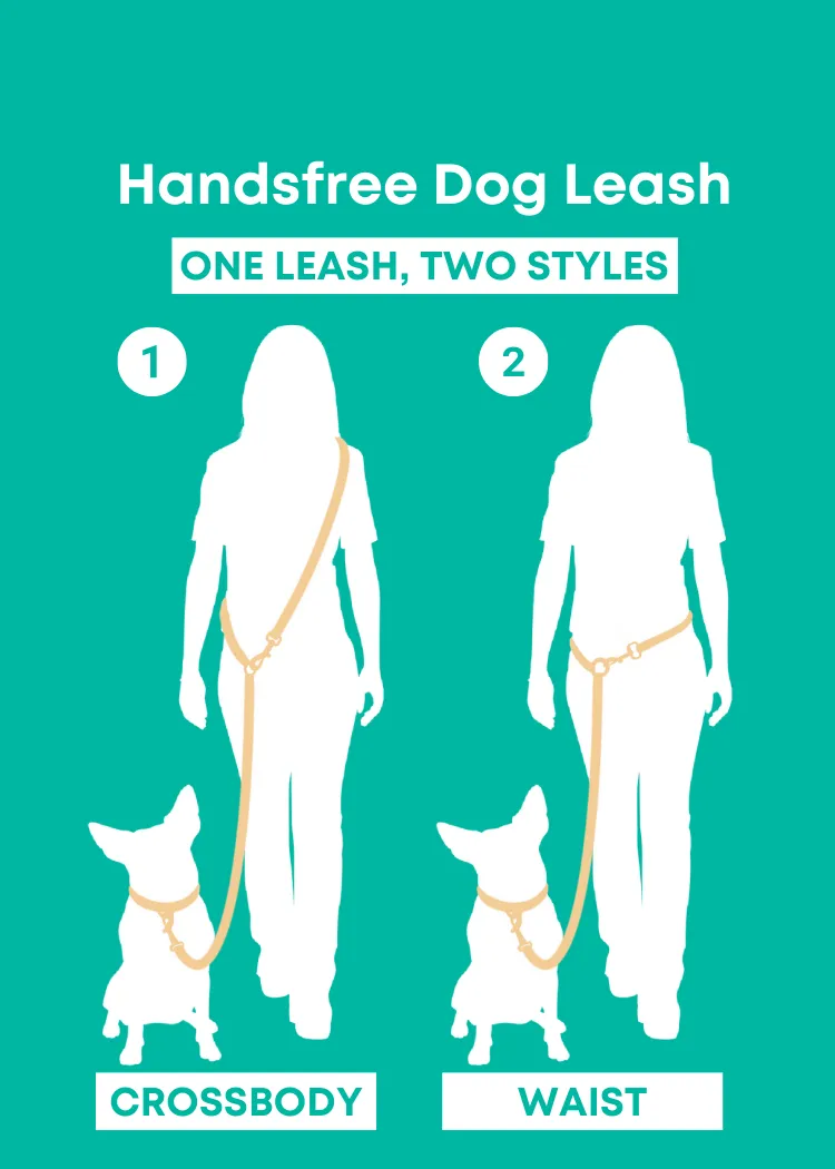 Sunburst - Splashproof Handsfree Dog Leash