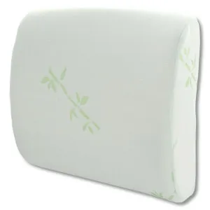 Supportive Foam Back Support Pillow