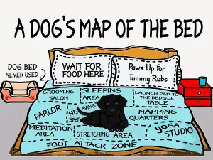 Whimsigoth A Dogs Map of the Bed Printable Cottage Core Retro Style Wall Art Decor Gift for Dog Lover Digital AI Art Can Printed Up To 36x48